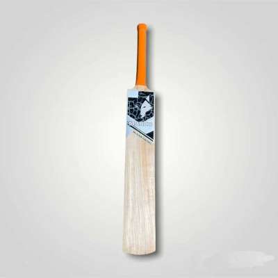 Buy Cricket Hard Tennis Balls | ALL ABOUT CRICKET LLC Profile Picture