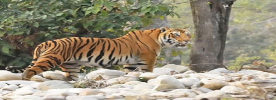 Jim Corbett National Park Cover Image