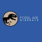 Fossil Age Minerals Profile Picture