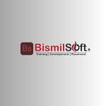 Bismilsoft Pvt Ltd. Profile Picture
