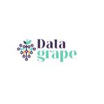 Data Grape Profile Picture