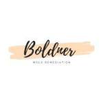 Boldner Mold Remediation Profile Picture