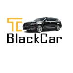 MSP Airport Black Car Private Chauffeurs Service Town Car Se Profile Picture