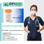Buy Cheap hydrocodone Online Trusted Supplier Profile Picture