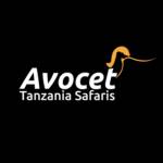 Avocet Tanzania Safaris Profile Picture