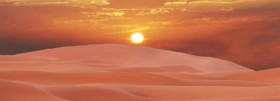 The Desert Safari In Dubai Cover Image