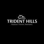 Trident Hills Panchkula Profile Picture