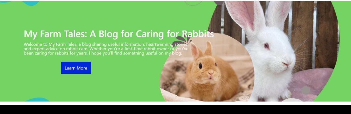 MyFarmTales Rabbit Care Made Simple Cover Image