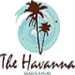 The Havanna Classic Nature Profile Picture