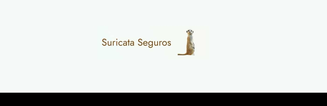 Suricata Seguros Cover Image