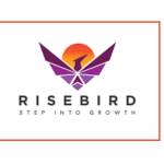 Risebird Profile Picture