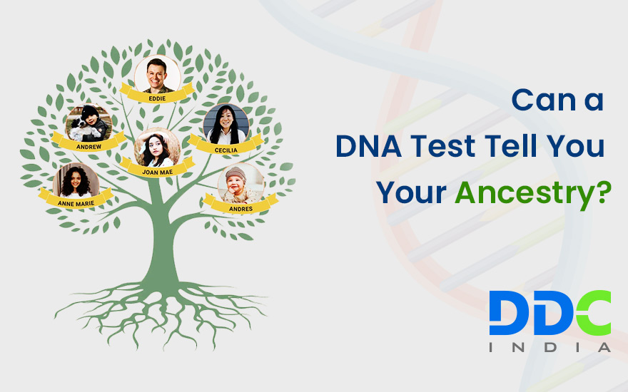 Can a DNA Test Tell You Your Ancestry?