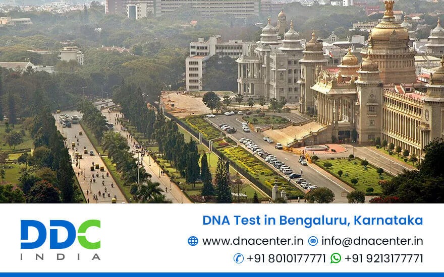 Which Company is Best for DNA Tests in Bengaluru?