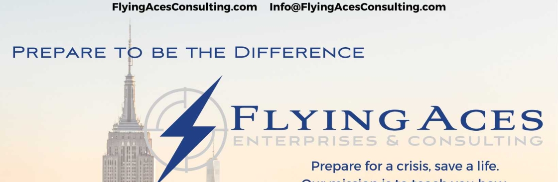 Flying Aces Consulting Cover Image