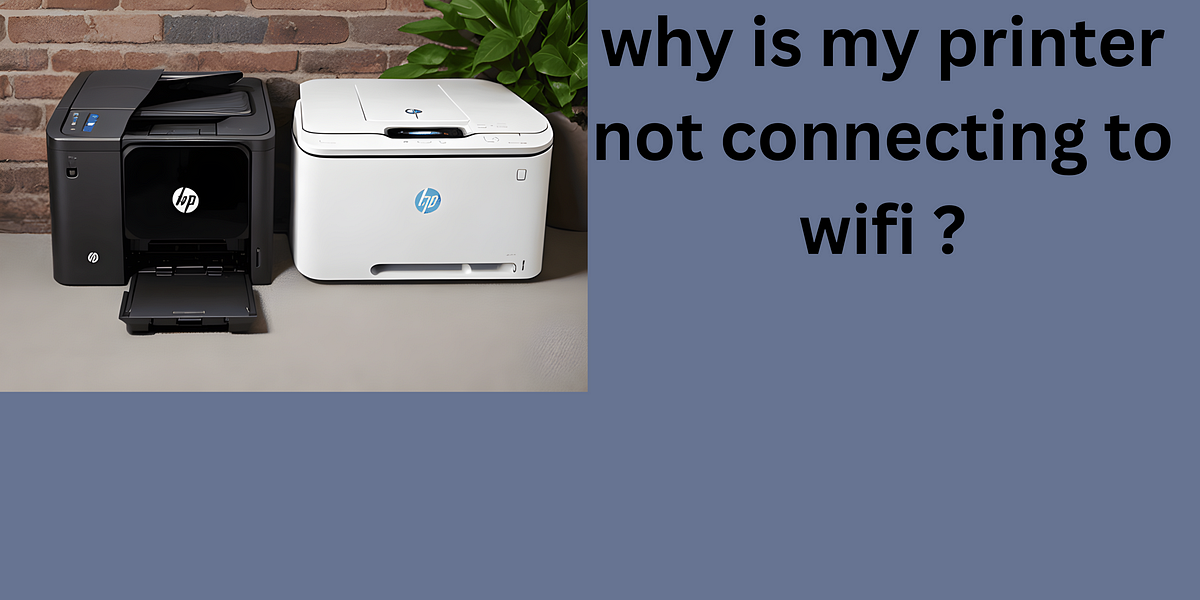 Why Is My Printer Not Connecting to Wi-Fi? | by Frederic Purdy | Sep, 2023 | Medium