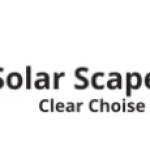Solae Scape Nigeria Ltd. Profile Picture