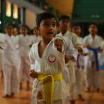 Nochikan Karate International Profile Picture