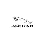 Jaguar London Profile Picture