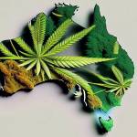 Weed Delivery Australia Profile Picture