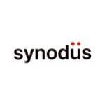 Synodus Official Profile Picture