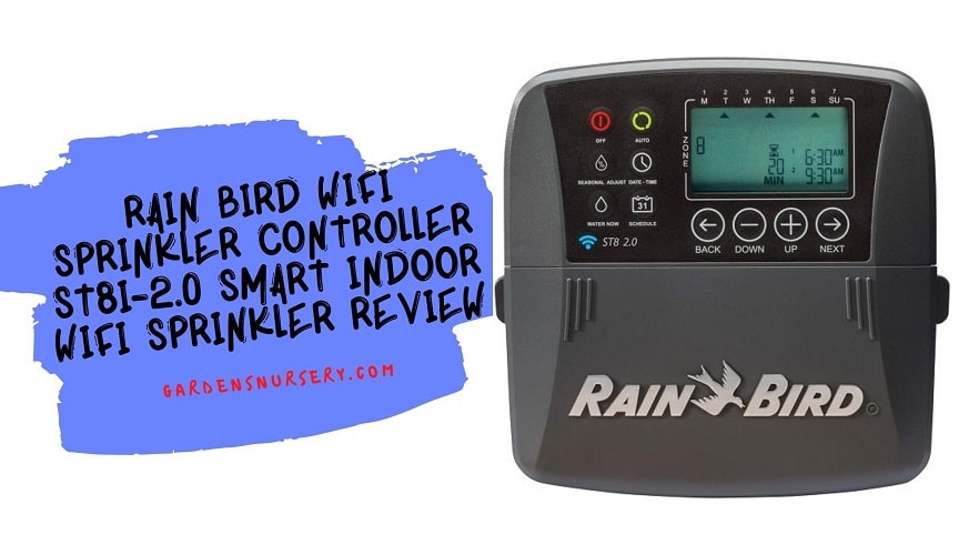 Rain Bird Wifi Sprinkler Controller ST8I-2.0 Review