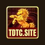 Thiên Đường Trò Chơi TDTC Profile Picture