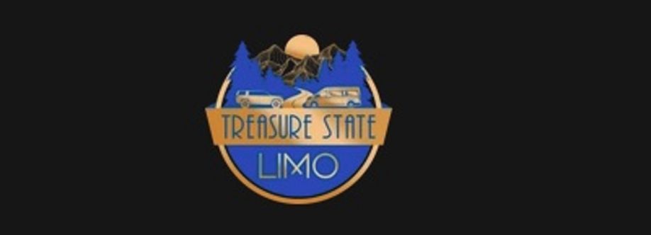 Treasure State Limo Cover Image