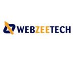 Webzeetech Profile Picture