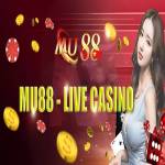 mu88 casinovn Profile Picture
