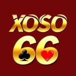 xoso66 tips Profile Picture
