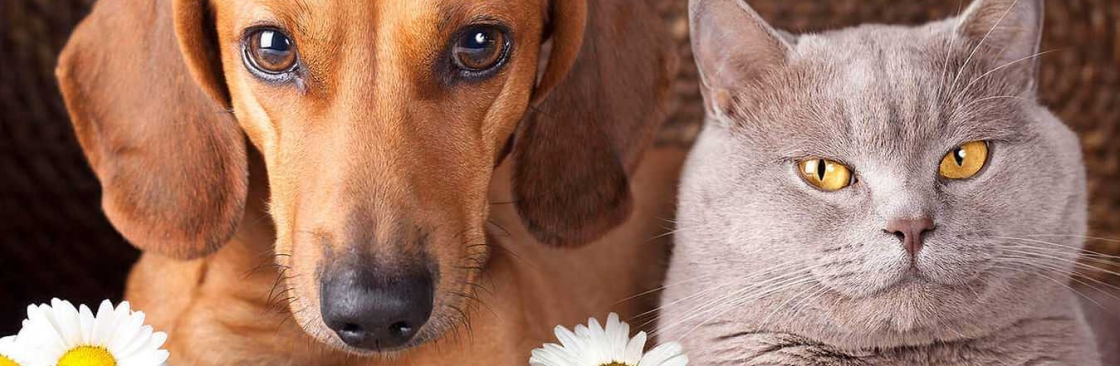 WW Mobile WWMobileVeterinaryServices Cover Image