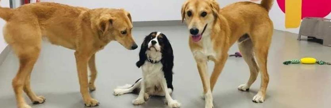 Rancho Relaxo Pet Hotel Dubai Cover Image
