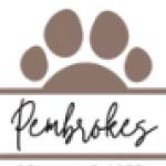 Pembrokes WalnutCreek Profile Picture