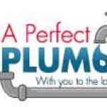 A Perfect Plumber Profile Picture