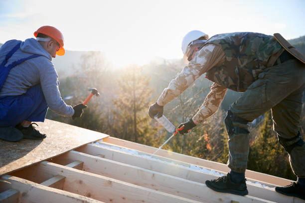 Winter-Ready Homes: Preparing For The Cold With Spray Foam Insulation