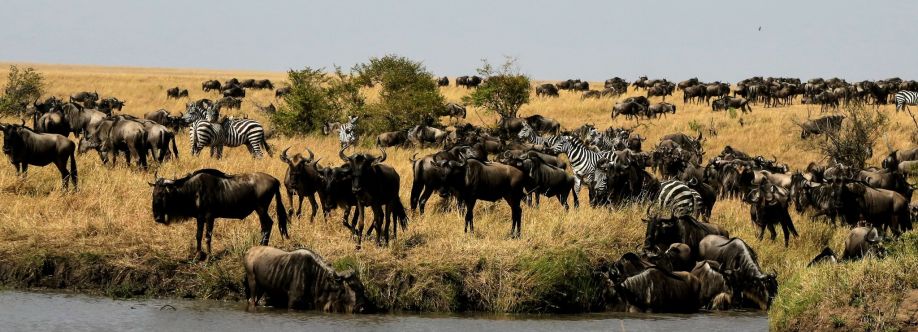 African Memorable Safaris Cover Image