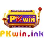 PKWIN Profile Picture