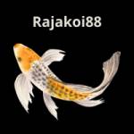 Rajakoi 88 Profile Picture