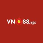 VN88 NGO Profile Picture