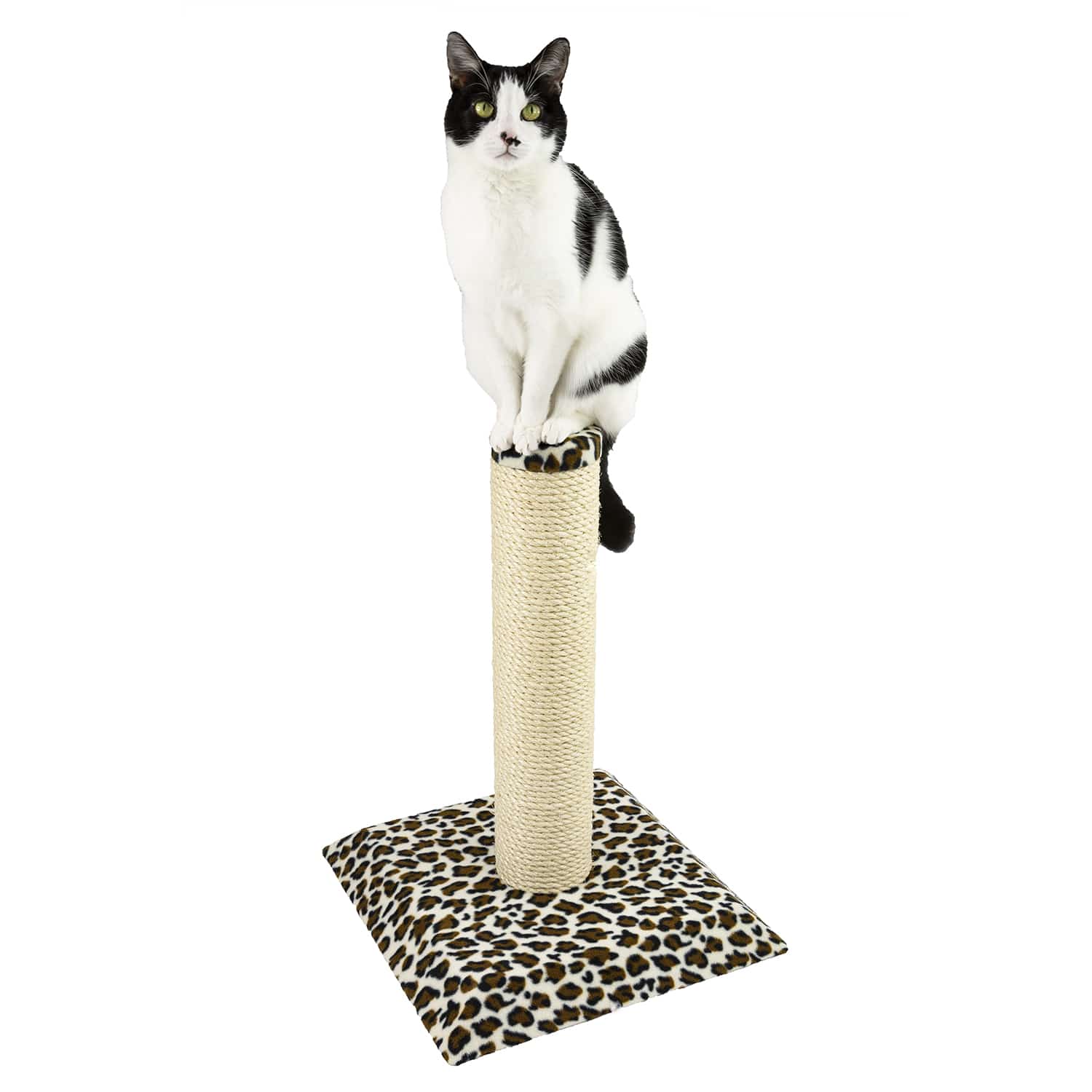 Furni Saver | buy cat climbing posts online | buy cat climbing posts online uk - Cosy Posts