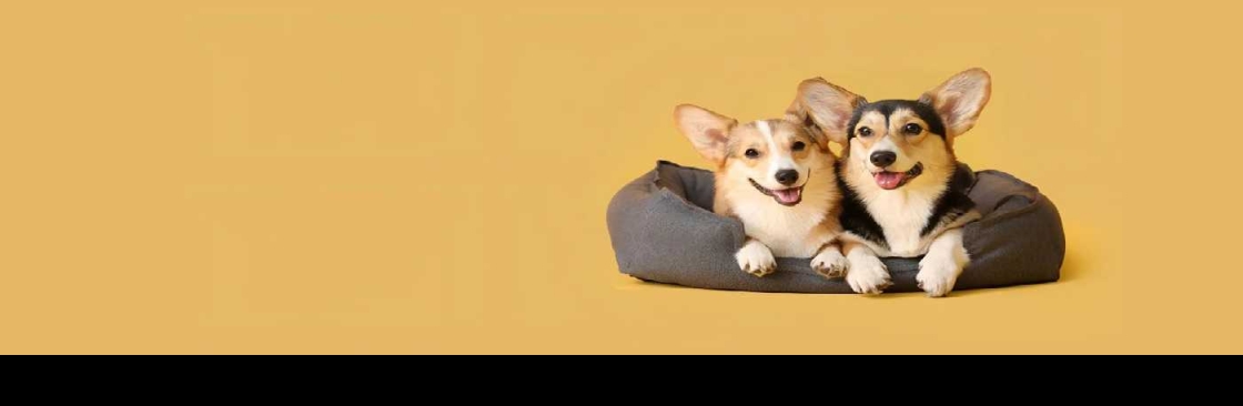 Pet Pads Cover Image