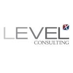 Level X Consulting Profile Picture