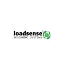 loadsensescales Profile Picture