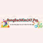 Rồng Bạch Kim Profile Picture