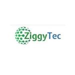 ZiggyTec Limited Profile Picture