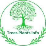 treesplantsinfo treesplantsinfo Profile Picture