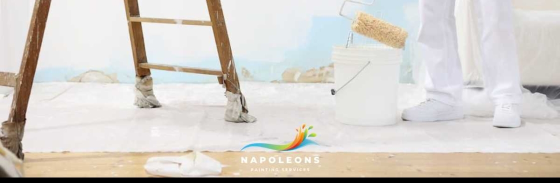 Napoleons Painting Cover Image
