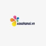 xosohanoi XSHN Profile Picture
