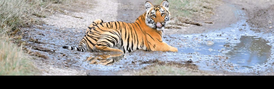 Pawalgarh Conservation Reserve Cover Image