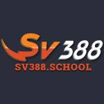 SV38 school Profile Picture